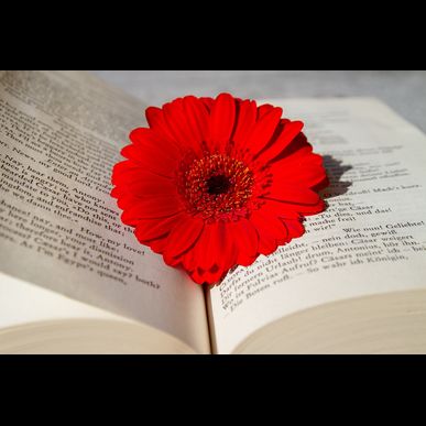 淀川区で運転手の求人をお探しなら、Lienfort運送まで